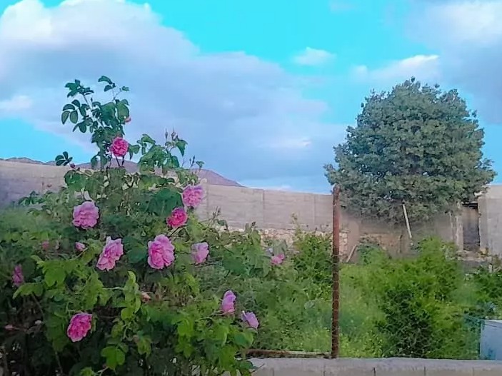 باغ