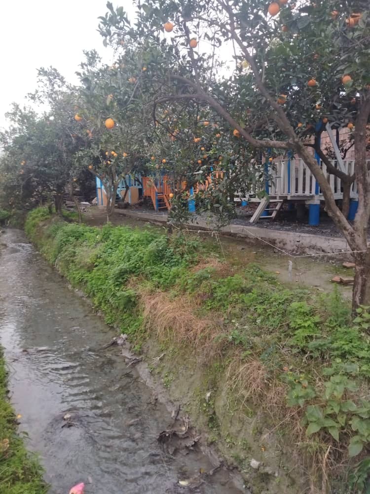 آلاچیق
