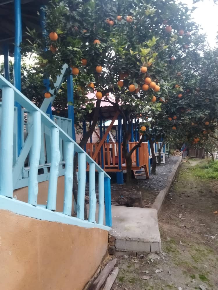 آلاچیق ها آلاچیق ها