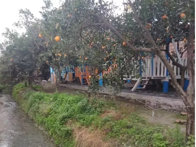 آلاچیق آلاچیق