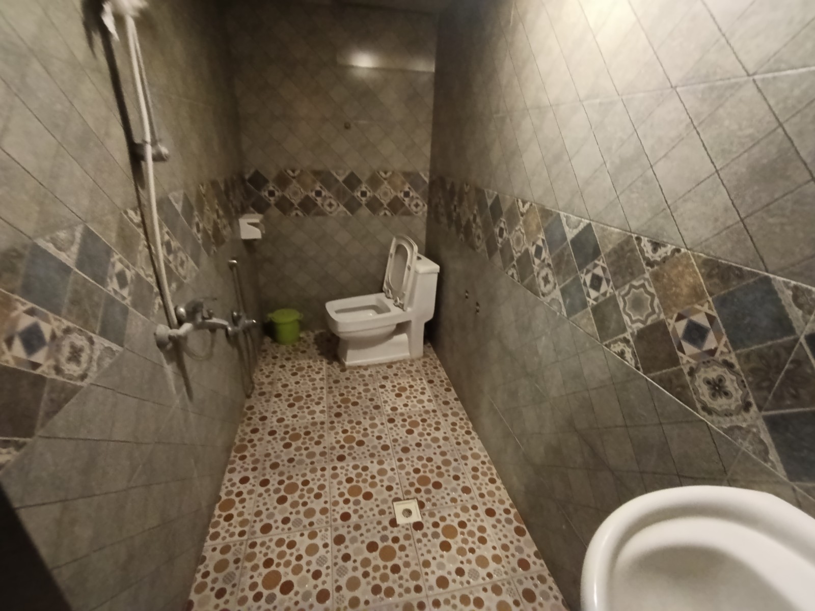 سرویس بهداشتی فرنگی