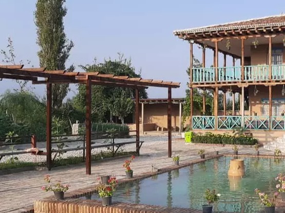 حیاط