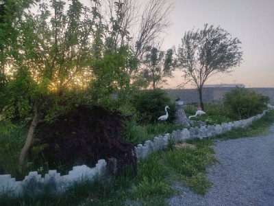 اقامتگاه بومگردی نوبهاری "اتاق 6"