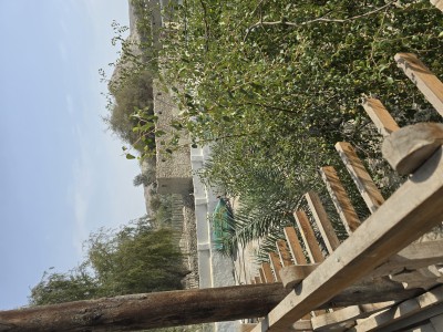 بومگردی مدالی "اتاق کلبه چوبی"