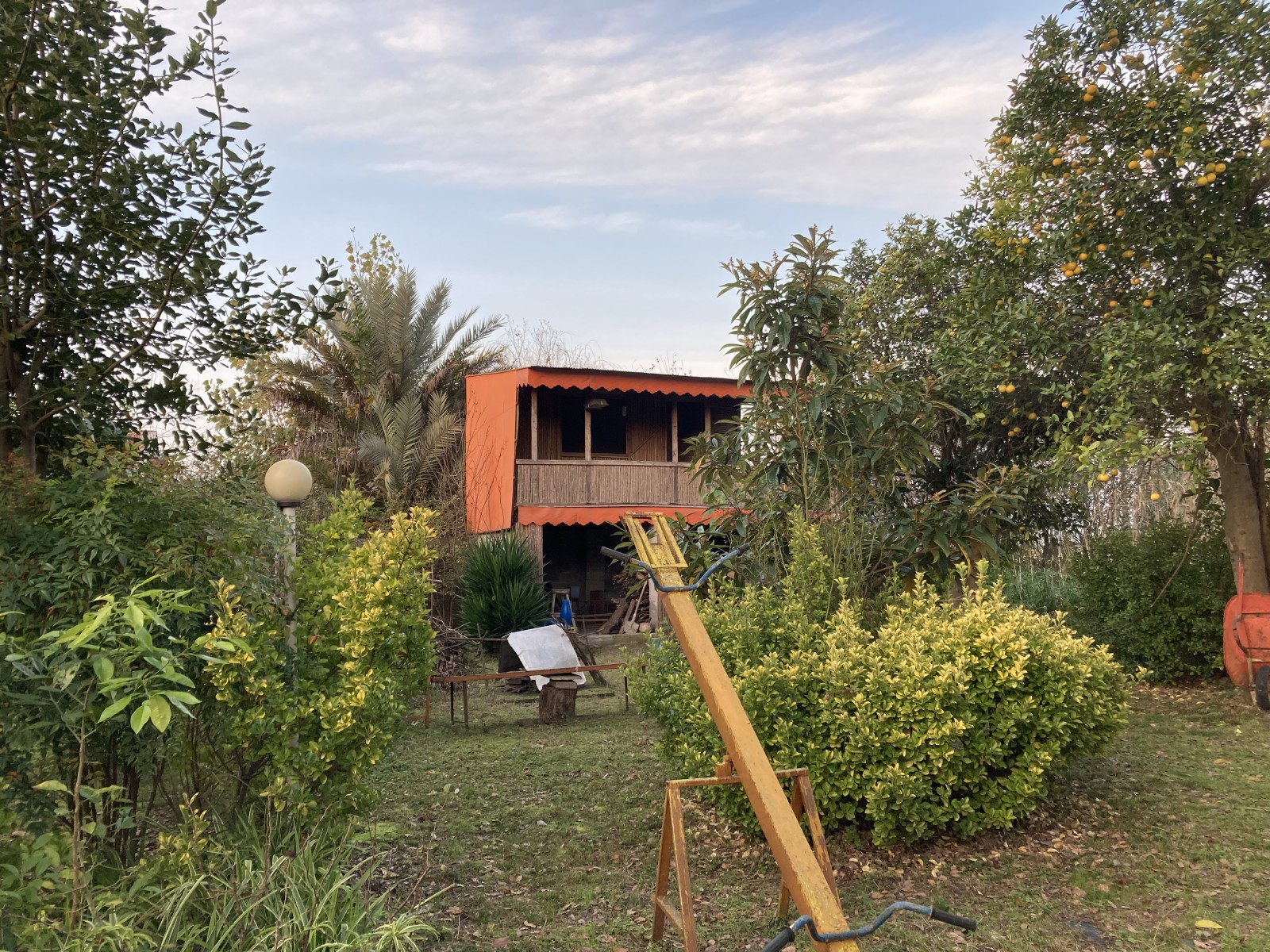 حیاط