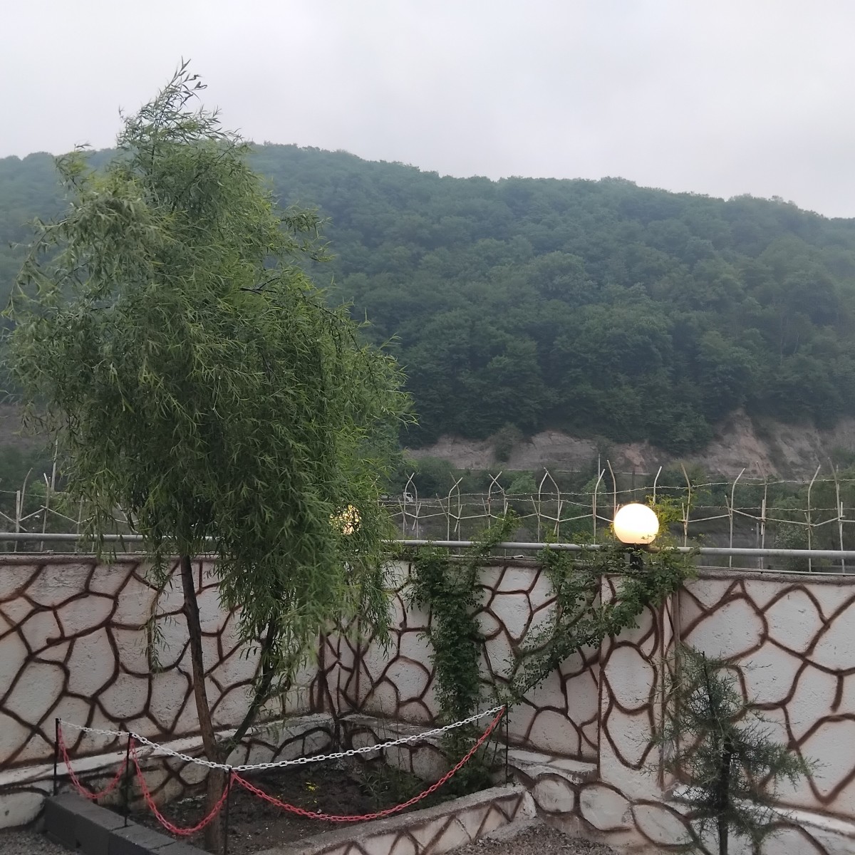 گوشه ایی از حیاط گوشه ایی از حیاط