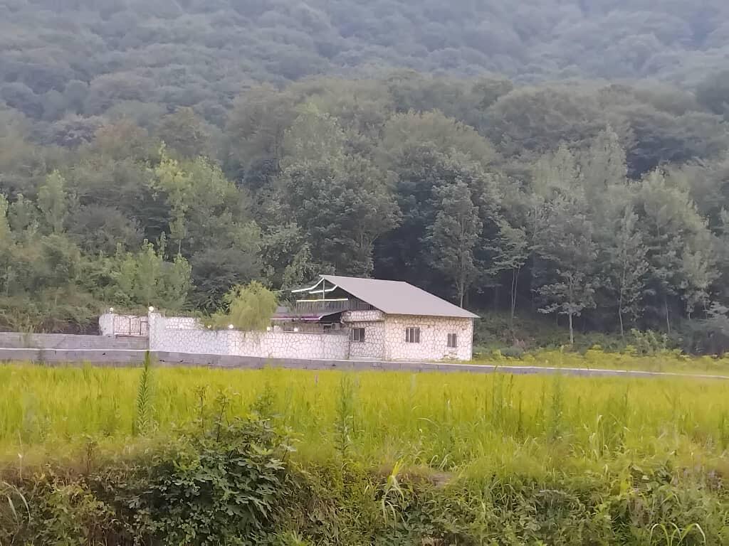 نمای ساختمان نمای ساختمان