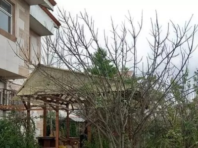 سوئیت مبله در لاهیجان
