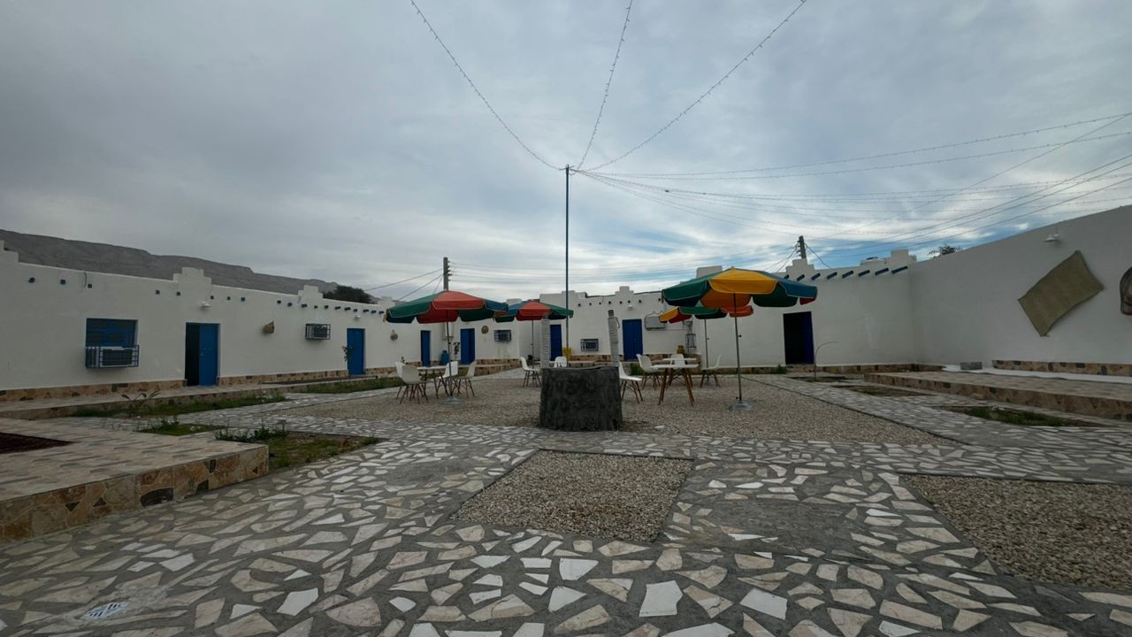 حیاط