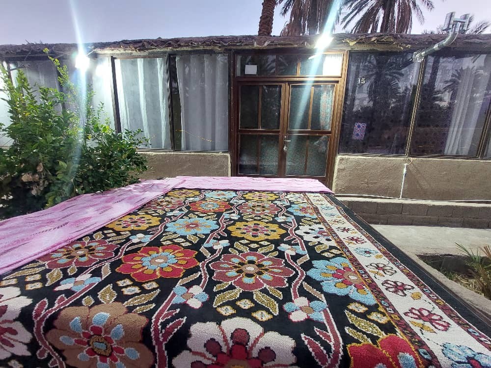 حیاط