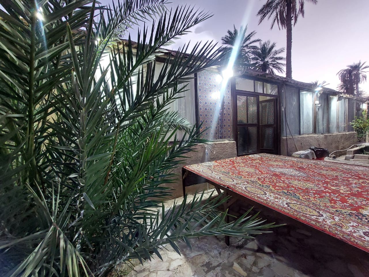 حیاط
