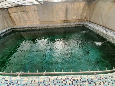 ویلا دو خوابه استخر دار