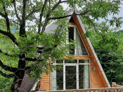 کلبه سوئیسی جنگلی "آمور"