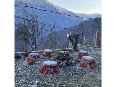 ویلای حیاط‌دار "گندم"