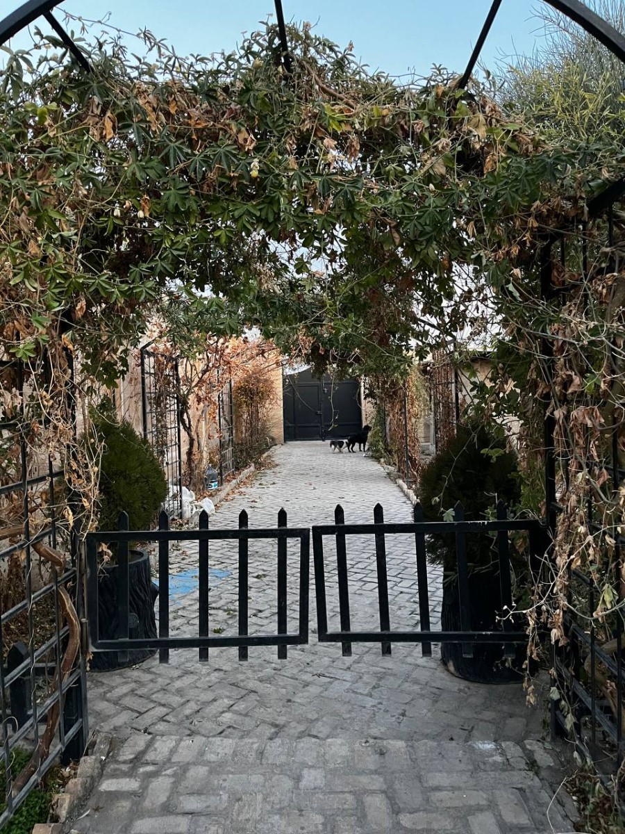 حیاط