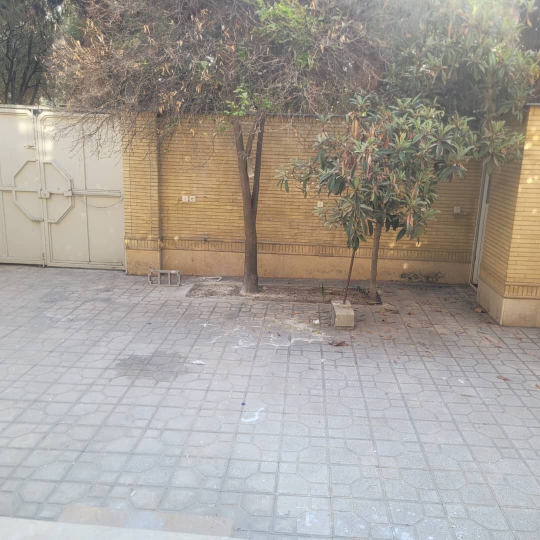 حیاط