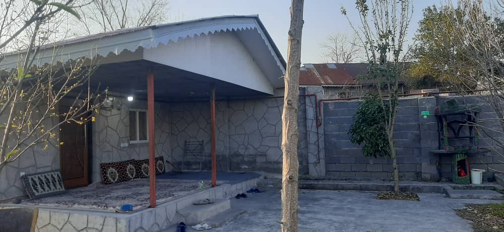 حیاط