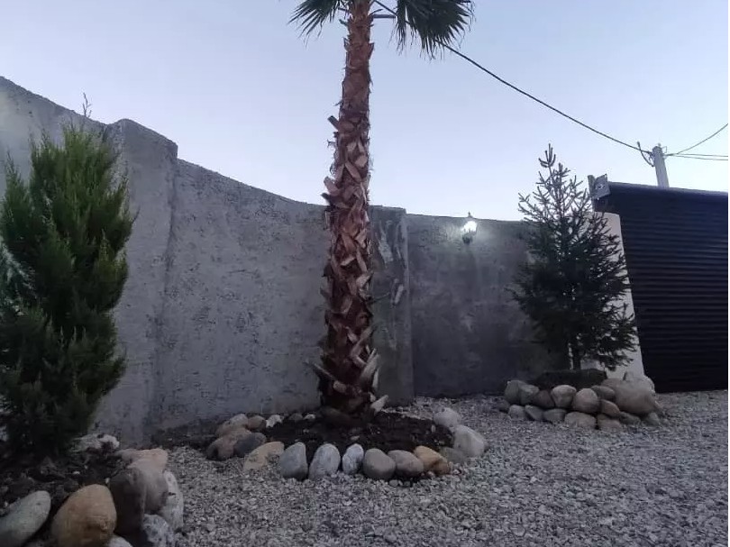 حیاط