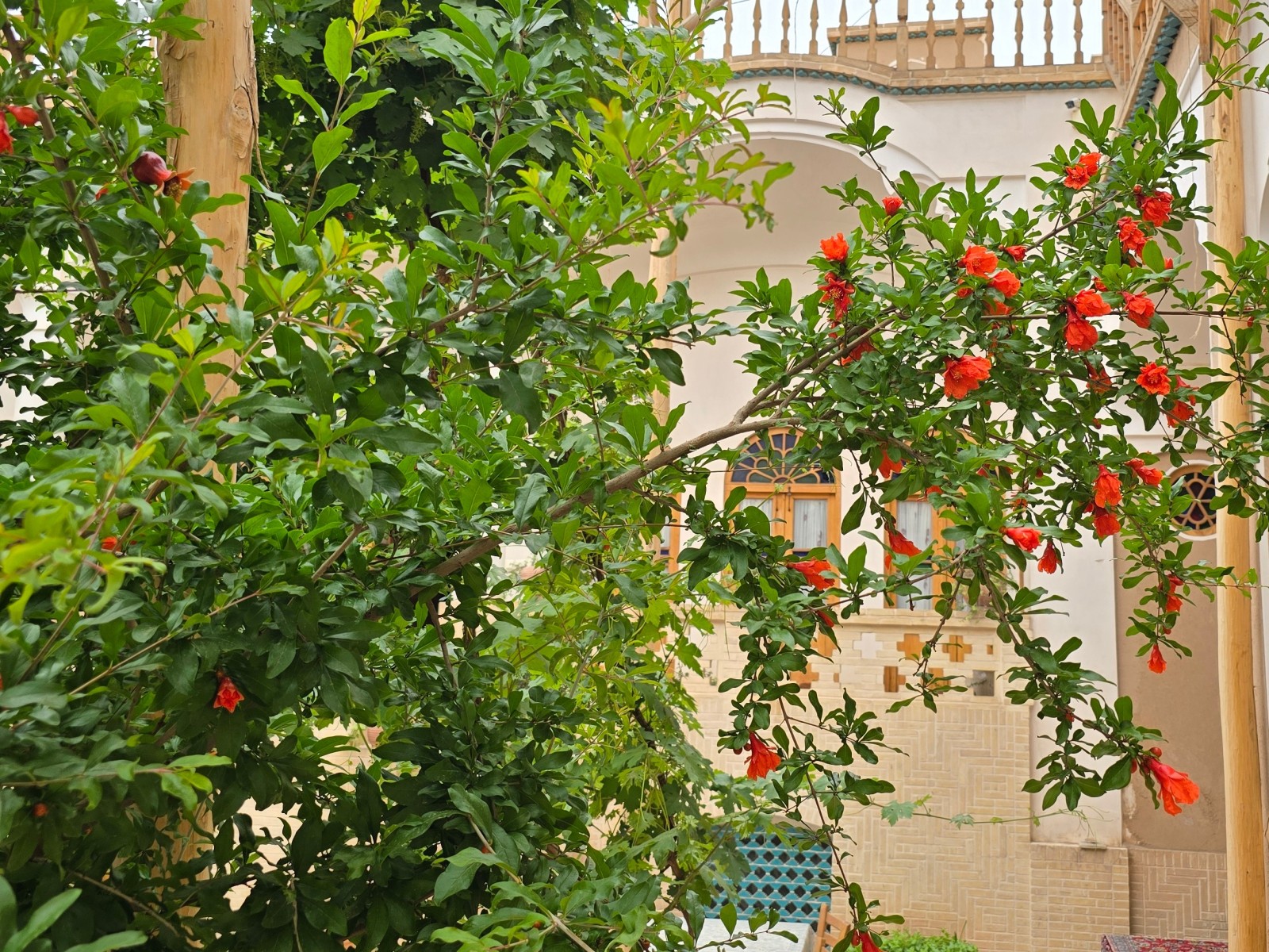 حیاط