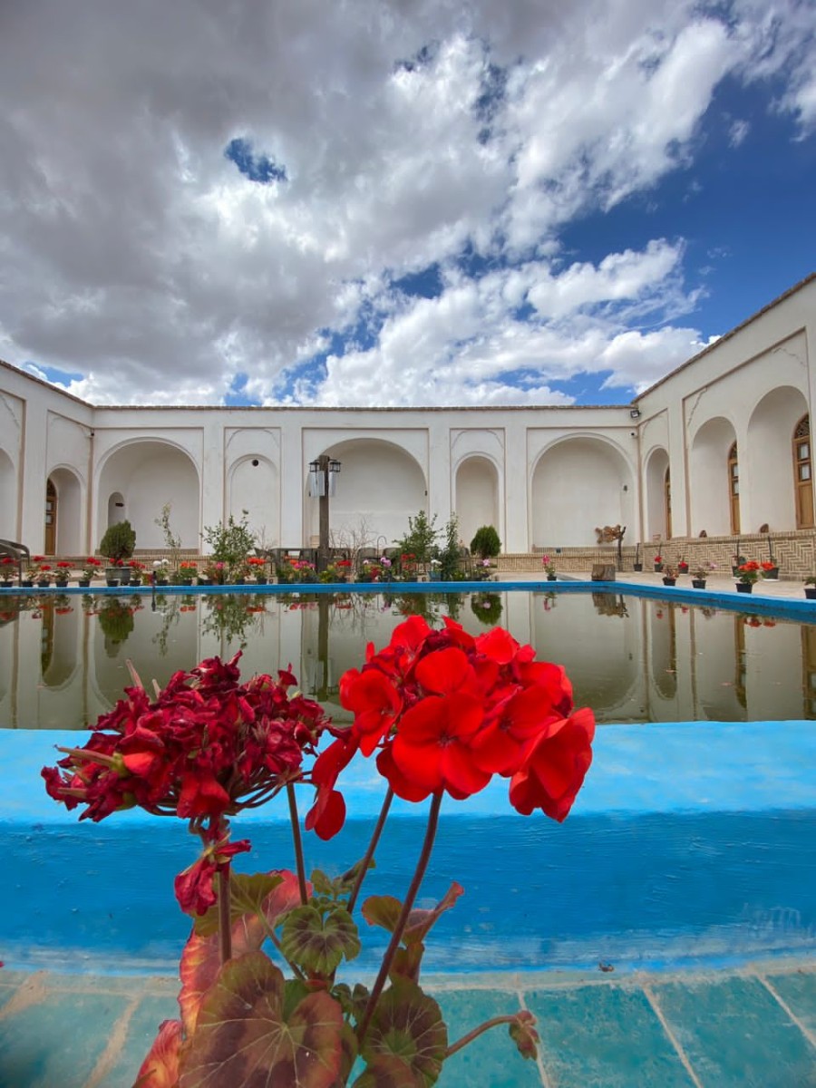 حیاط