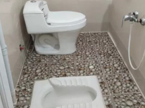 سرویس بهداشتی