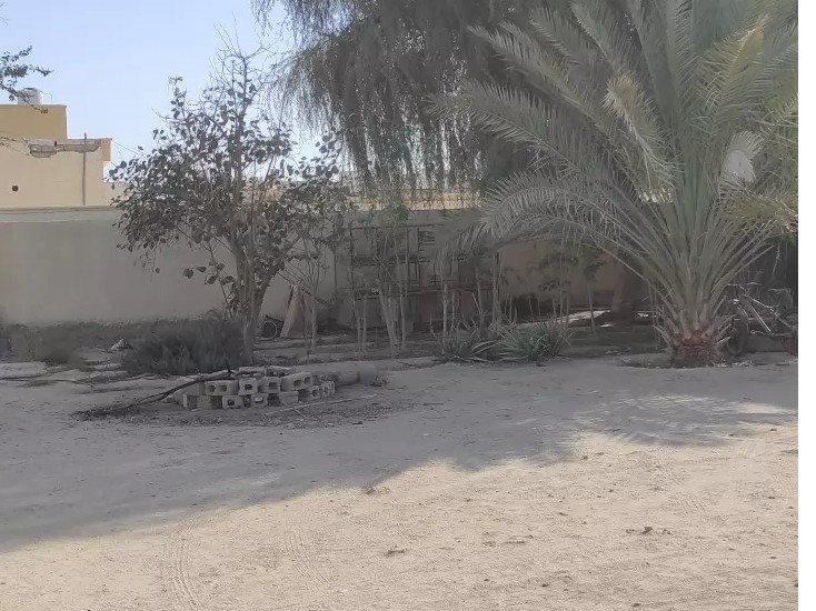 حیاط