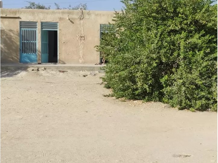 حیاط