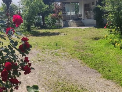 ویلای حیاط دار "ابراهیمی" ویلای حیاط دار "ابراهیمی"