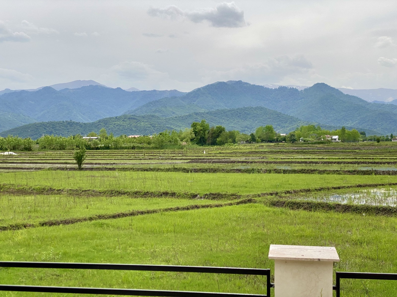 چشم‌انداز از سالن