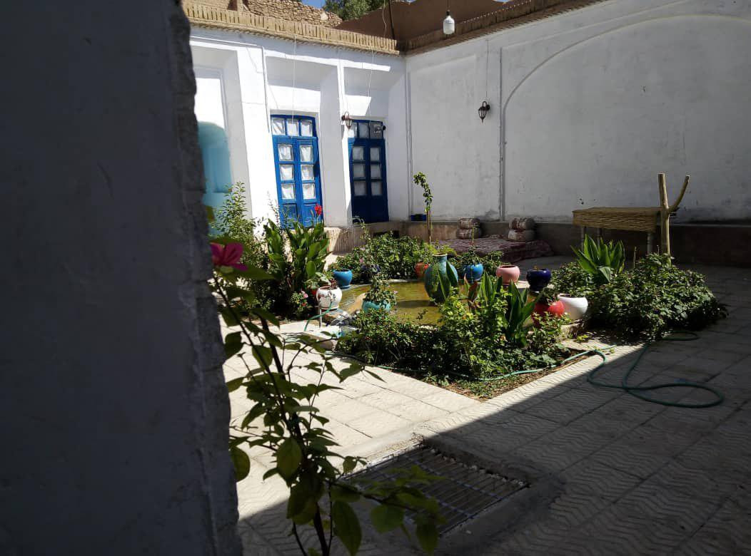 حیاط