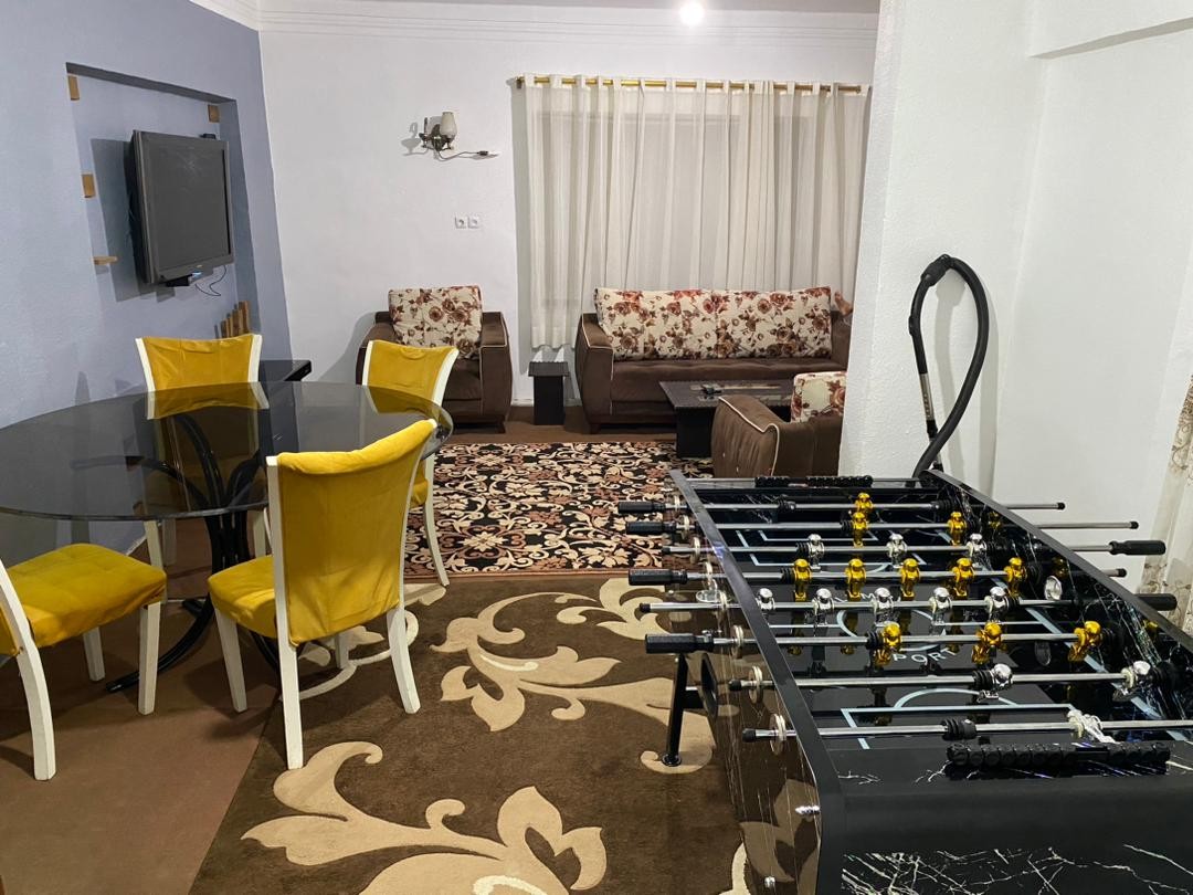 فوتبال دستی حرفه ای