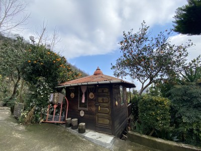 سوییت امید۱