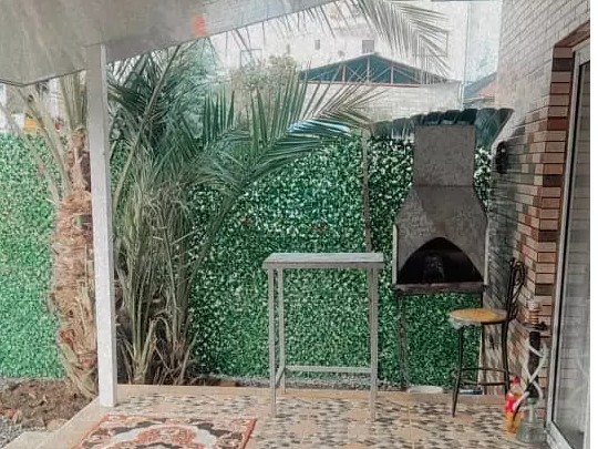 باربیکیو