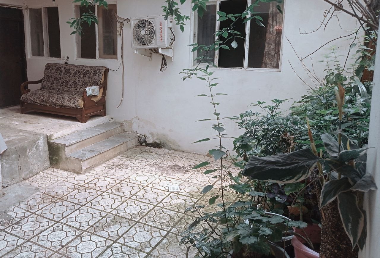 حیاط