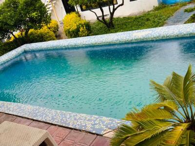 ویلا باغ لوکس با چشمانداز جنگل ویلا باغ لوکس با چشمانداز جنگل