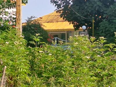 اقامتگاه داریوش