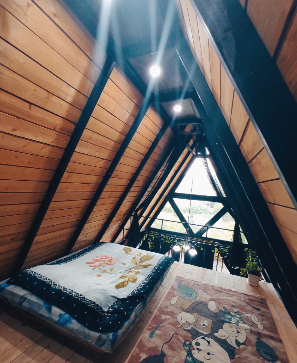 بهارخواب بهارخواب