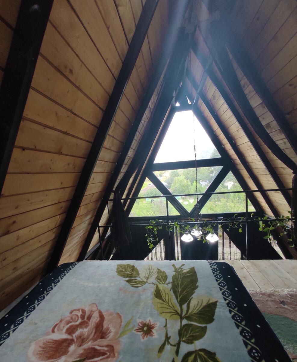 بهارخواب بهارخواب