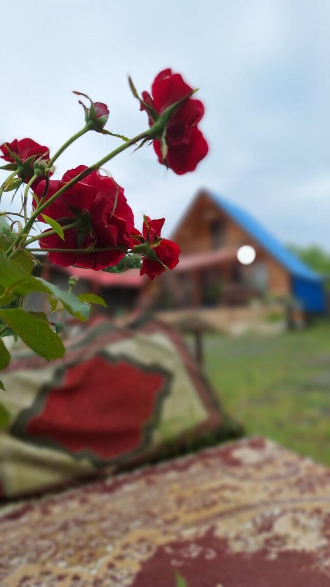 نمای ساختمان