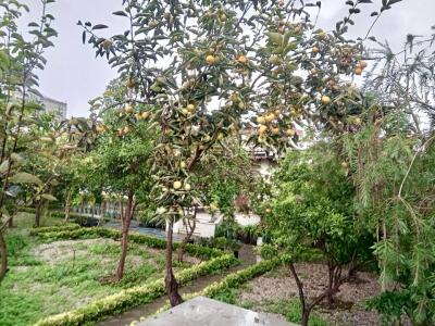 ویلای دربست دریا