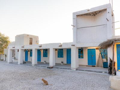 "اتاق ساحل سرخ" بومگردی کلوکا "اتاق ساحل سرخ" بومگردی کلوکا