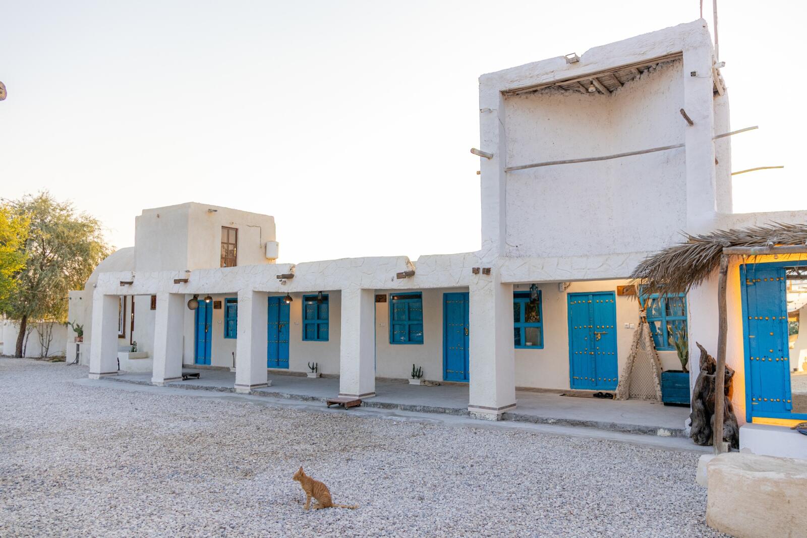 نمای ساختمان نمای ساختمان