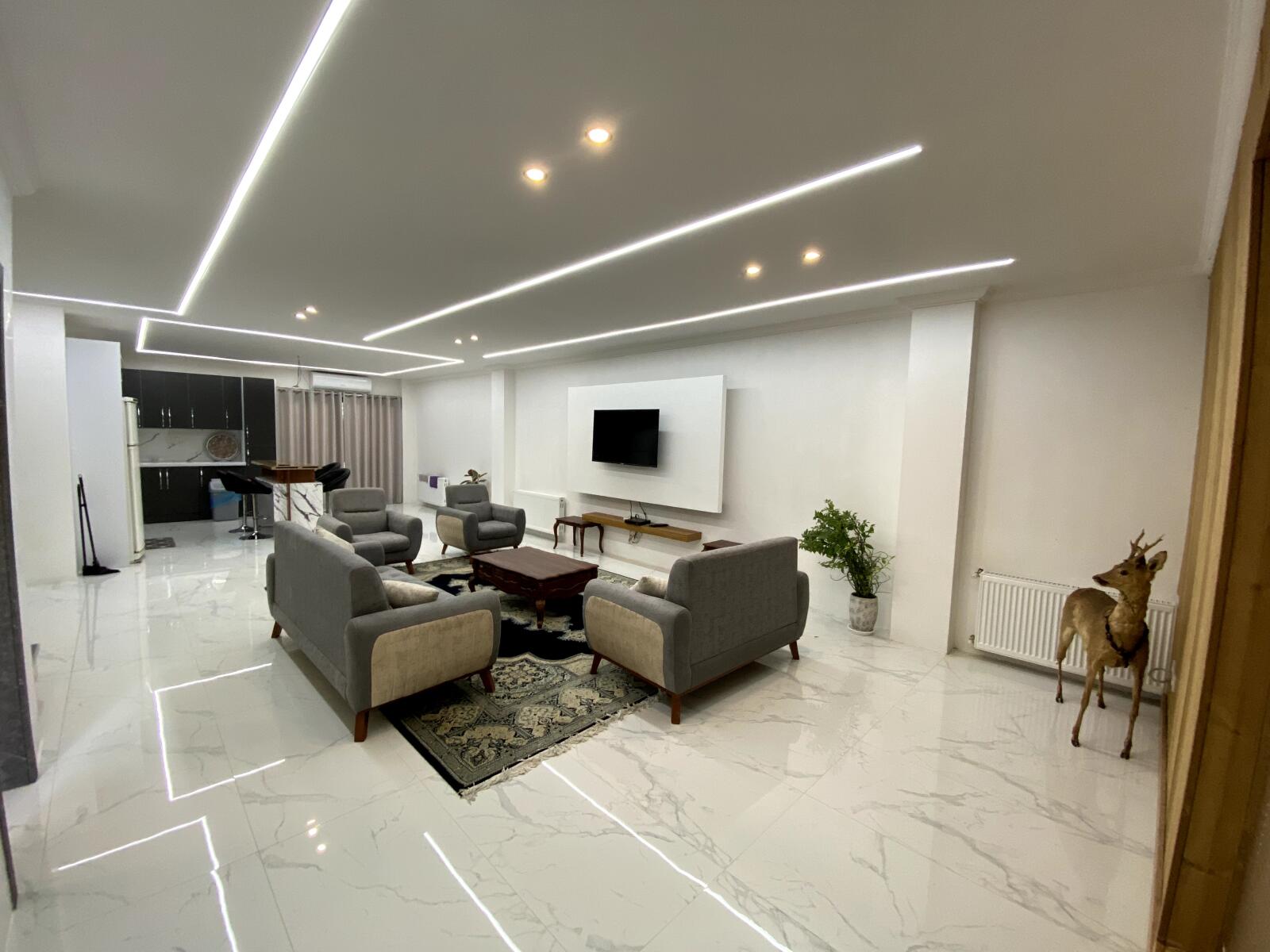 اتاق پذیرایی و آشپزخانه اتاق پذیرایی و آشپزخانه