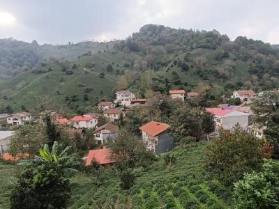 ویلا با چشم‌انداز زیبای باغات چای