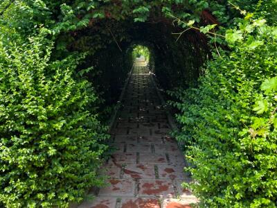 عمارت سای لو عمارت سای لو