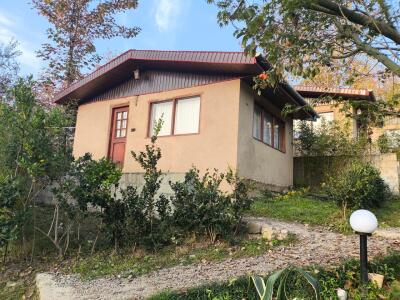 بومگردی سیوا