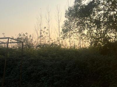 ویلای سعادت ویلای سعادت