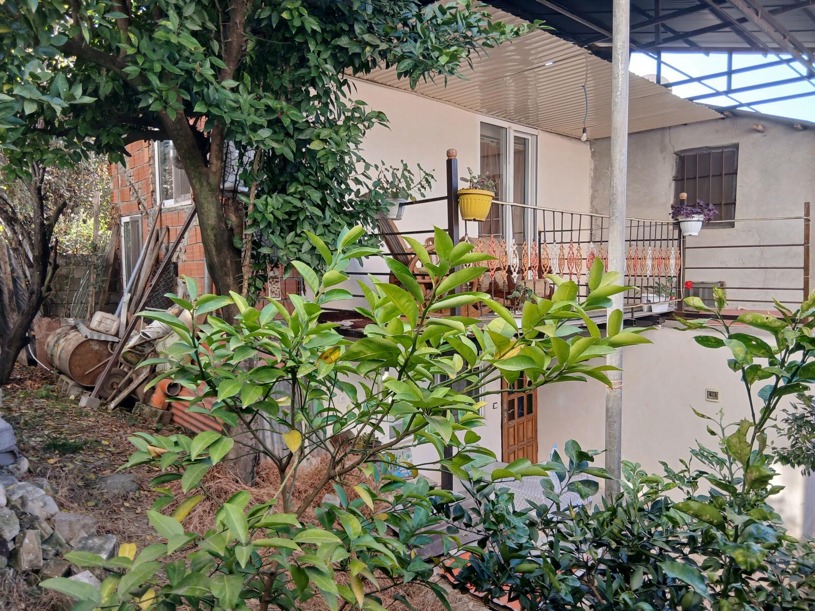 نمای ساختمان نمای ساختمان