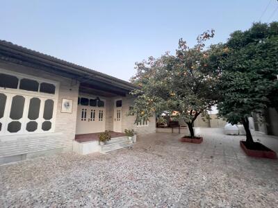 ویلای حیاط‌دار "شالیزار" در بابل