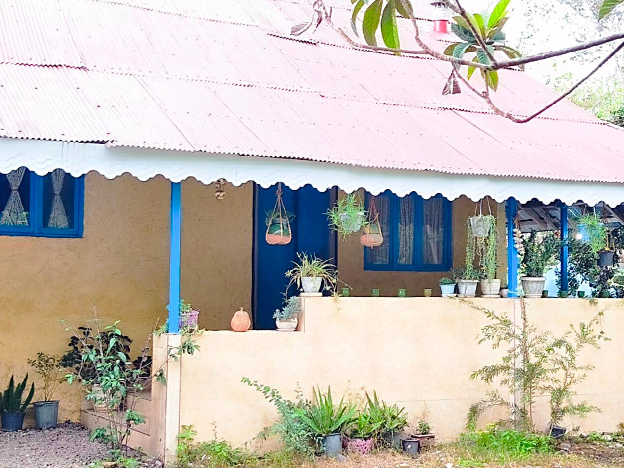 نمای ساختمان